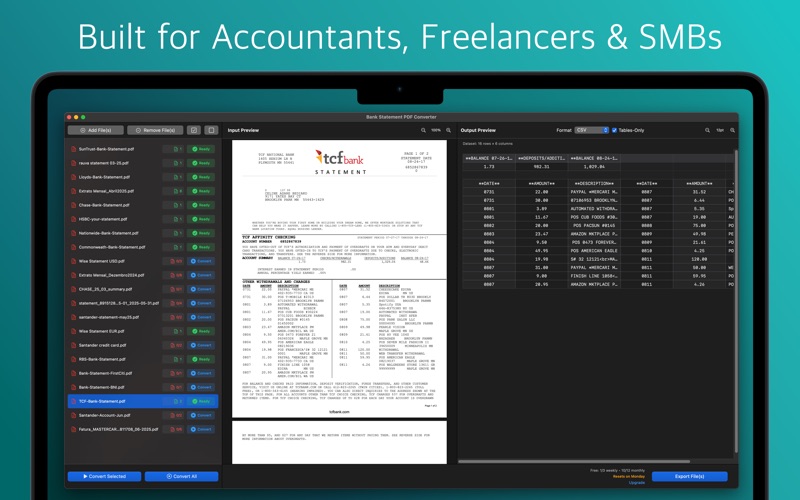 Bank Statement PDF Converter Screenshot