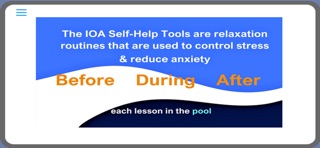 ALP Self Help Tool Screenshot 2 of 3