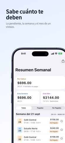 Time Register - Horas y Pagos screenshot 4