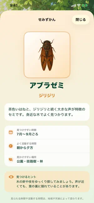 せみサウンド screenshot 3