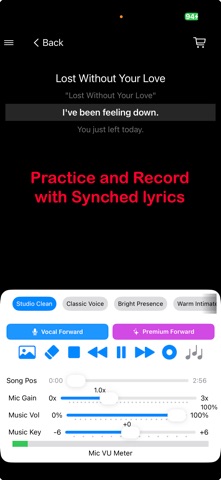 Sing My Songs screenshot