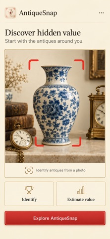 AntiqueSnap: Value Antiques Screenshot 1 of 5