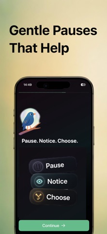ScreenMindful: Digital Detox Screenshot 4 of 9