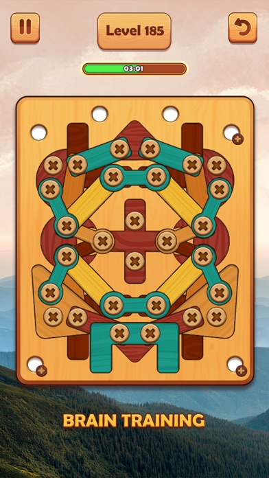Wood Nuts & Bolts: Unscrew Screenshot