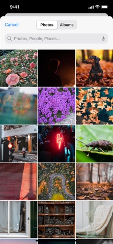 Wazzat Screenshot 3 of 6
