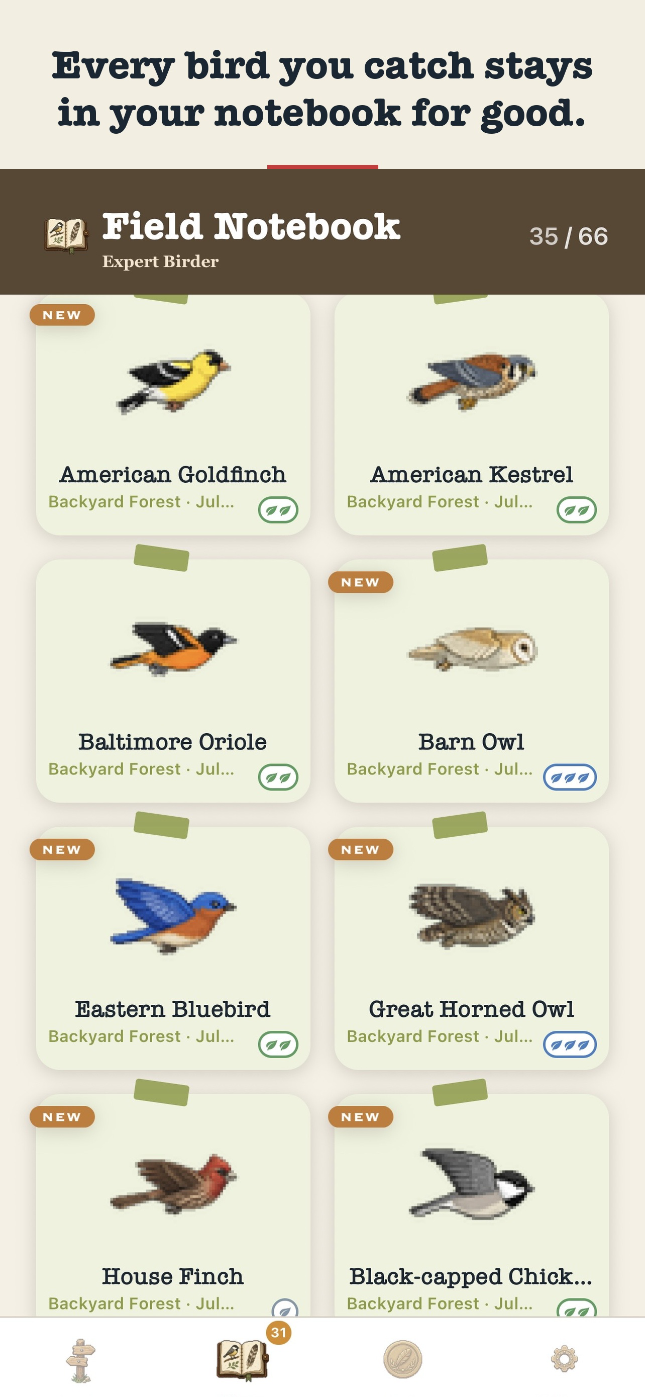 Perchwise: Bird ID Game screenshot 3