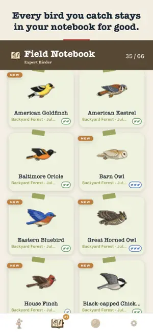 Perchwise: Bird ID Game screenshot 3
