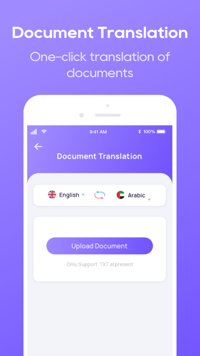 Translate Now - Document Screenshot