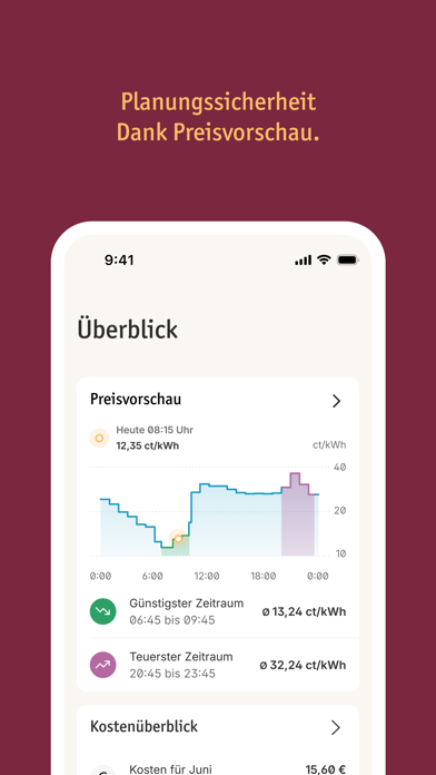 LichtBlick | Energie iPhone screenshot 2