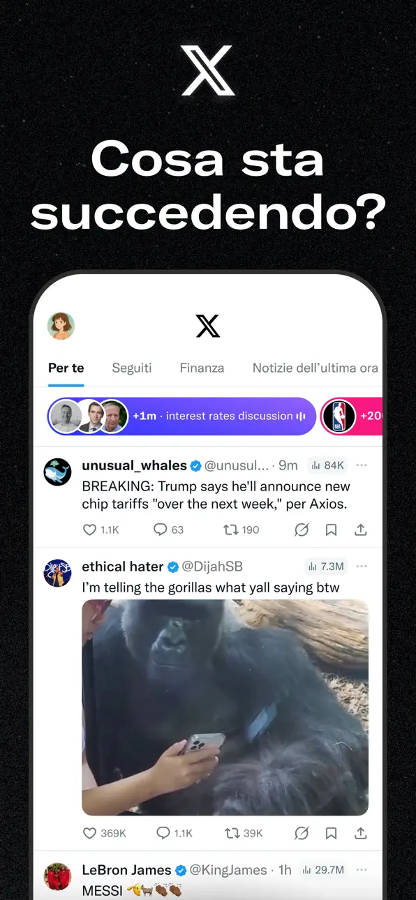 Twitter Modded screenshot 1 - iOS app interface