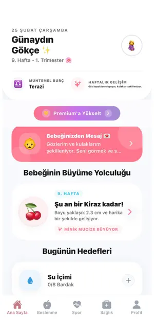 MommySteps screenshot 1