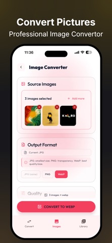 Phase Media: Pro Converter screenshot