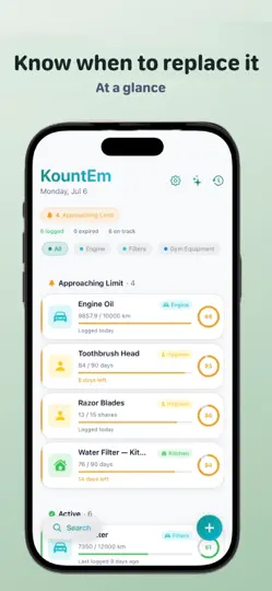 Captura de pantalla de KountEm: Rastreador De Uso en iPhone 1