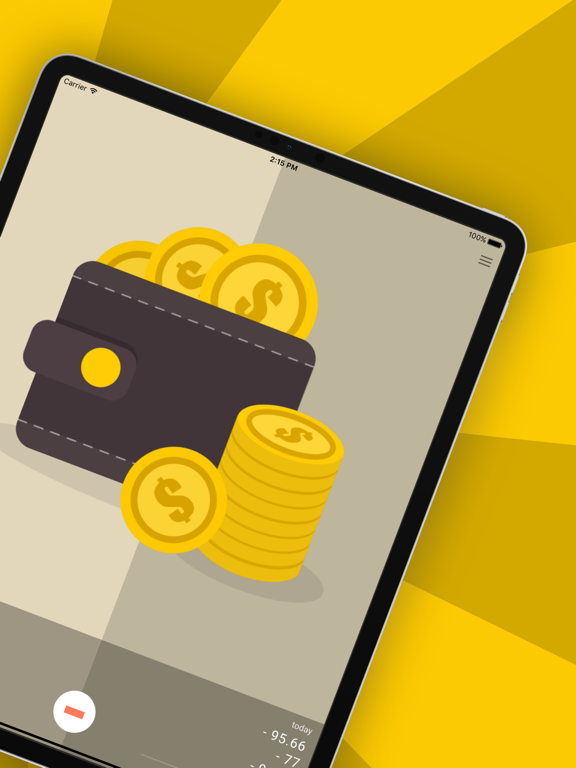 Money Gone?! Expense Tracker iPad screenshot 2 - Finance app