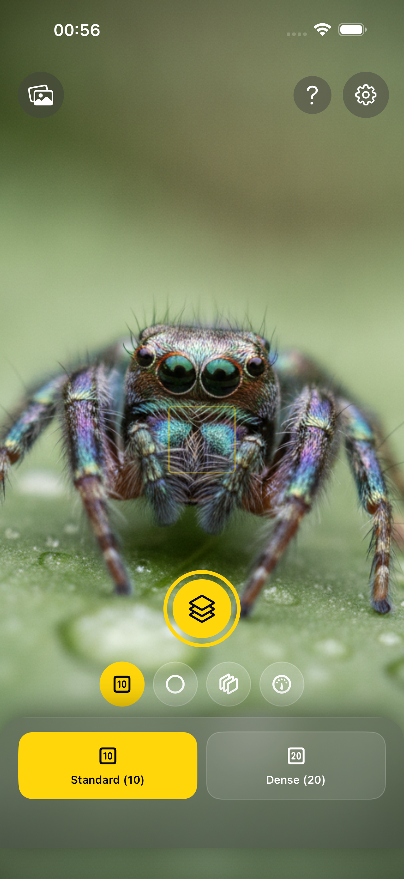 Zeus Focus Stacking screenshot 10