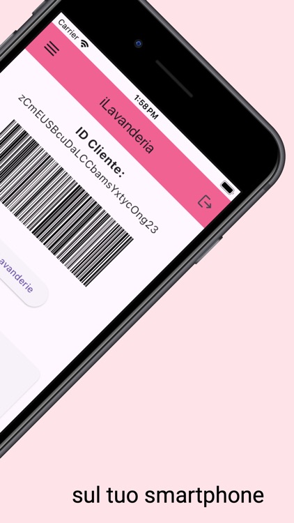 iLavanderia screenshot-4