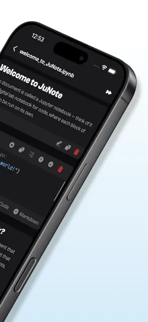Jupyter Notebook - JuNote iPhone screenshot 2