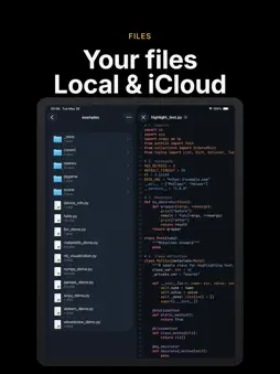 Pythona - Python 3 IDE screenshot 8