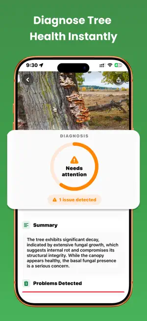 Tree Identifier: Wood & Leaf screenshot 3