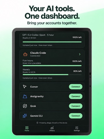 AI Usage Tracker: Pulse