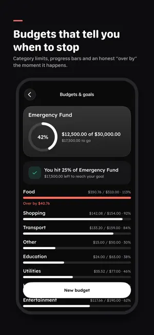 Fainto: AI Budget & Expense screenshot 3
