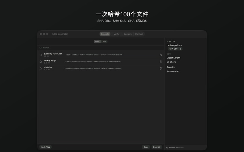 MD5 Generator - Hash Tool screenshot