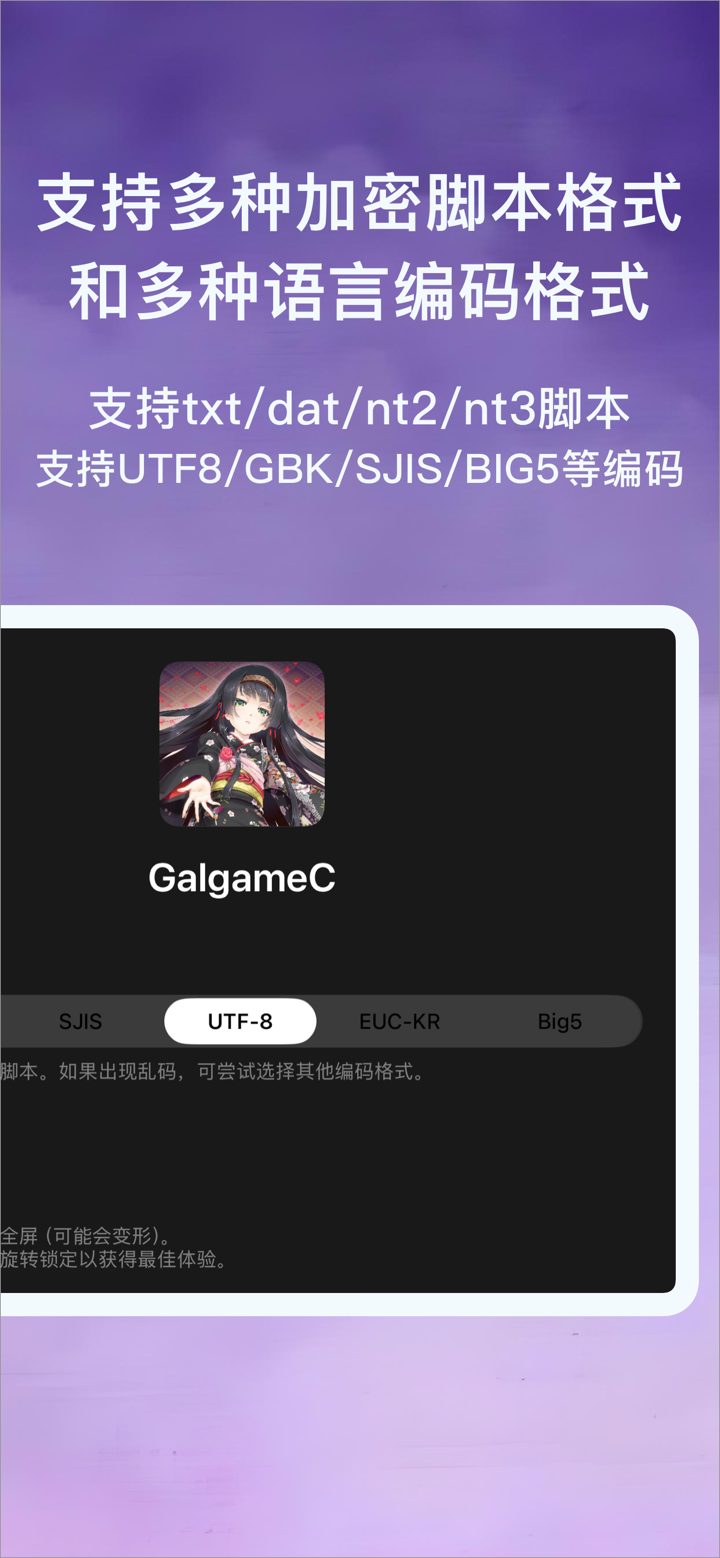 iONSPlayer screenshot 2