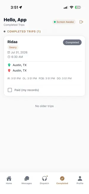 Swary Driver screenshot 4
