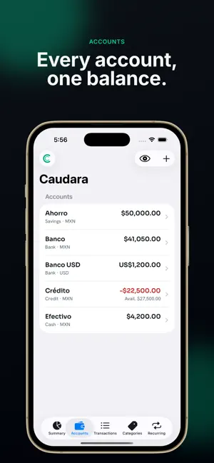 Caudara: Cash Flow screenshot 2