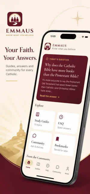 Emmaus Fidei screenshot 1