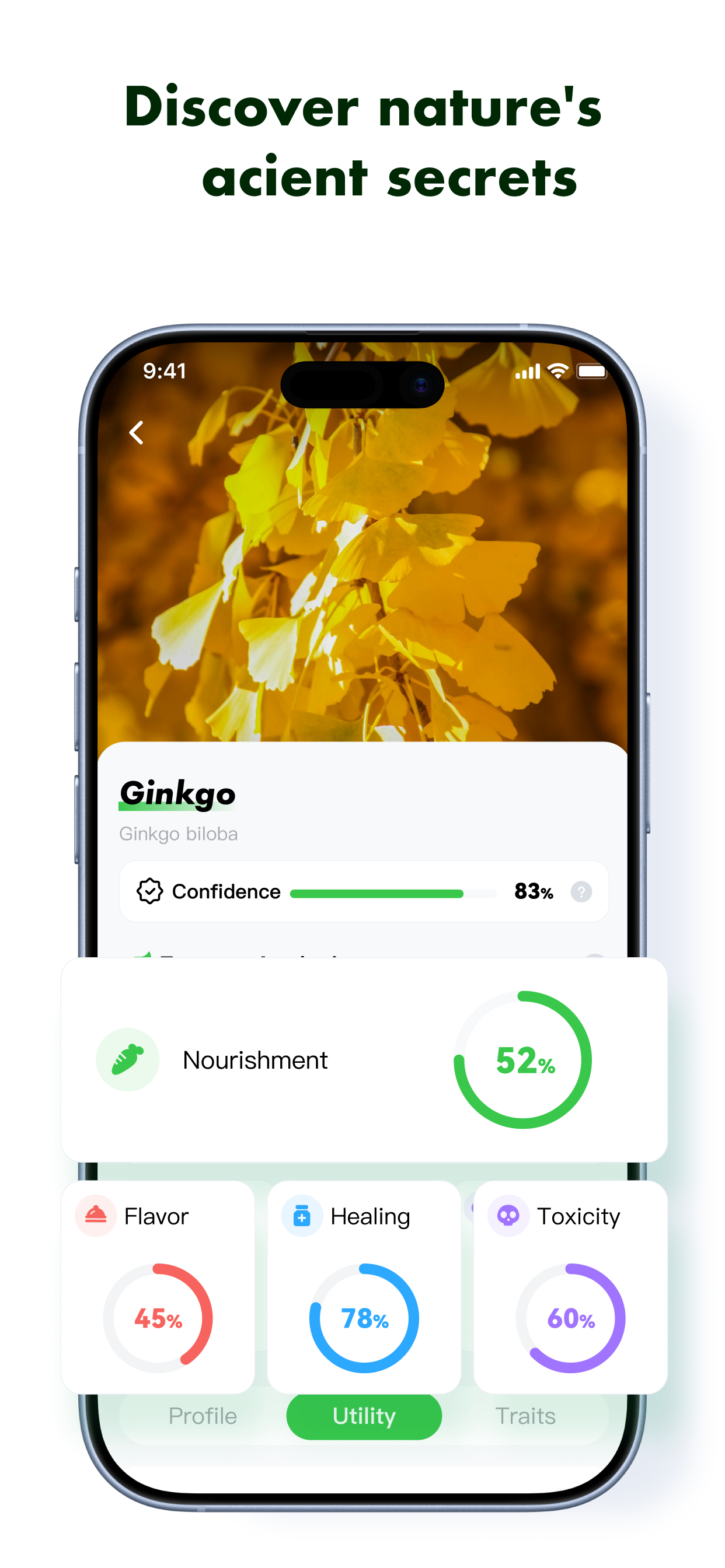 WildForager: Foraging ID Guide