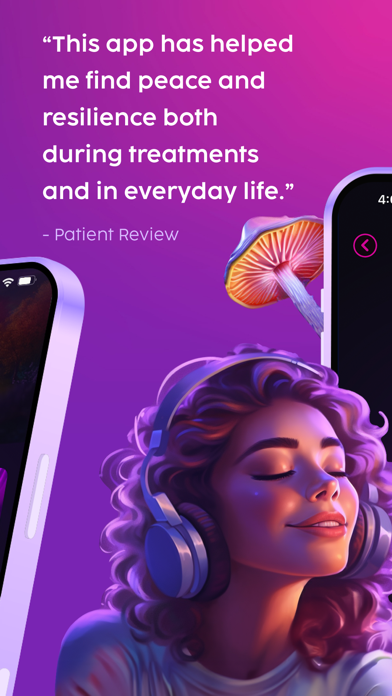 Limitless Guided Visualization Screenshot