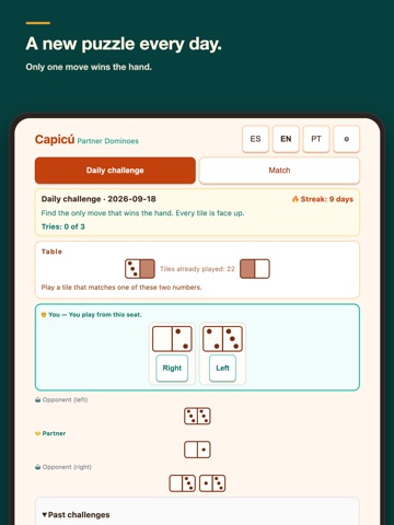 Partner Dominoes — Capicú iPad screenshot