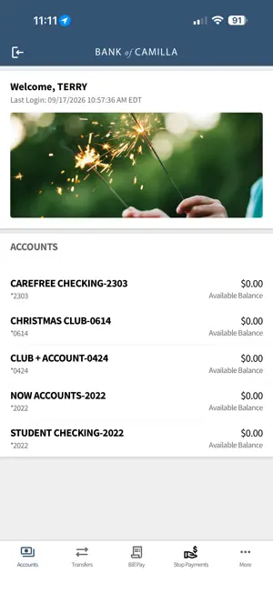 Bank of Camilla screenshot 3