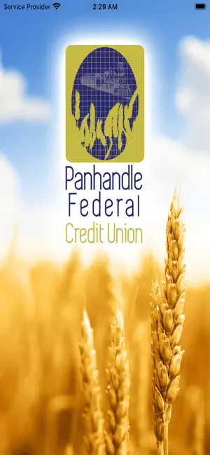 PANHANDLE FCU screenshot 1