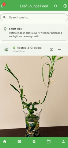 Leaf Lounge screenshot