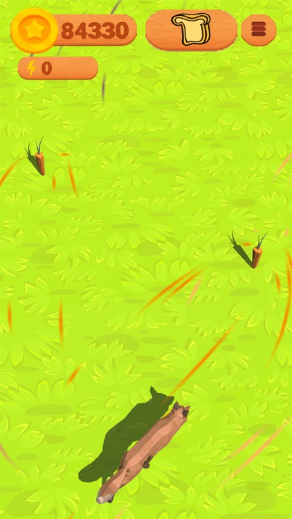 Dog House: Find Fun screenshot-5