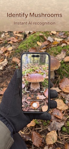 Mushroom Identifier & ID Scan Screenshot 1 of 6