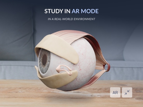 VOKA 3D Anatomy & Pathology iPad screenshot 7 - Medical app