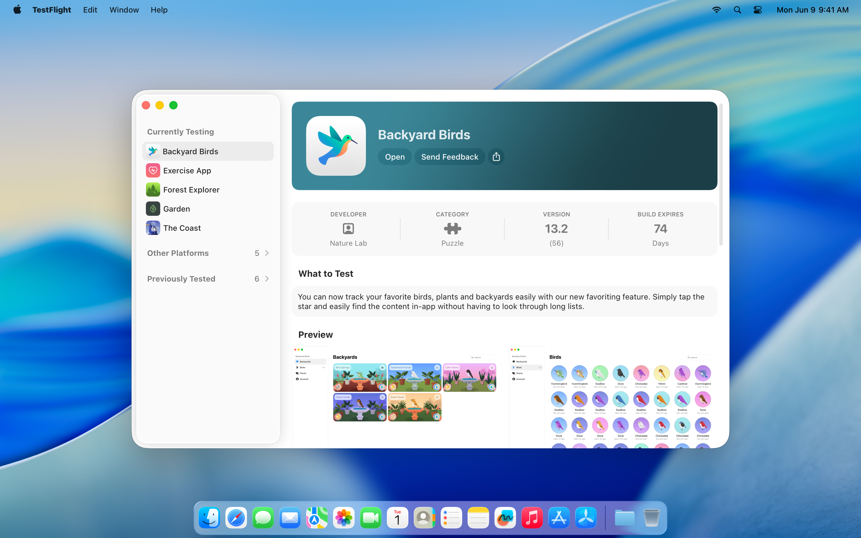 TestFlight