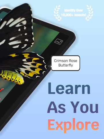 Insect Bug Identifier AI iPad screenshot