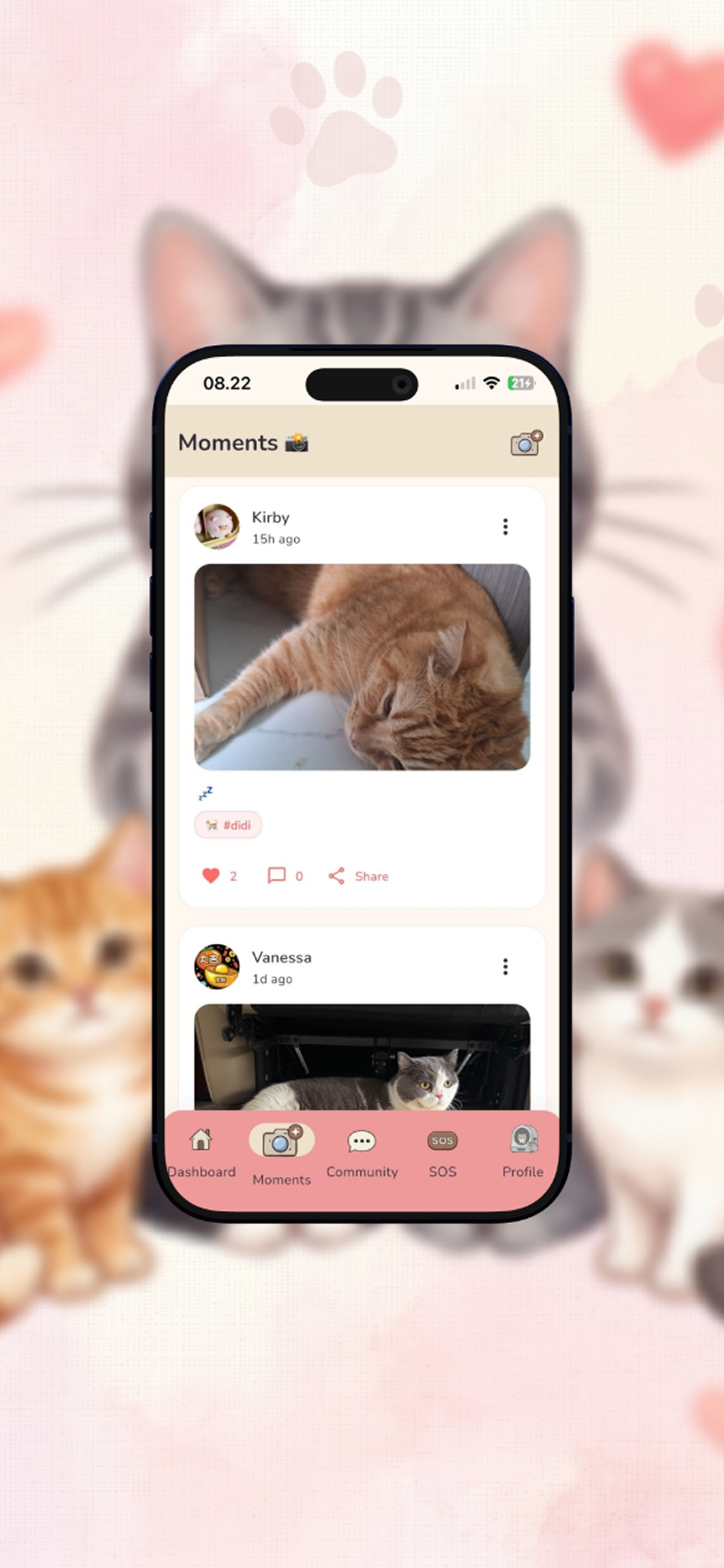 My Cat Pal screenshot 2