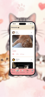 My Cat Pal screenshot 2