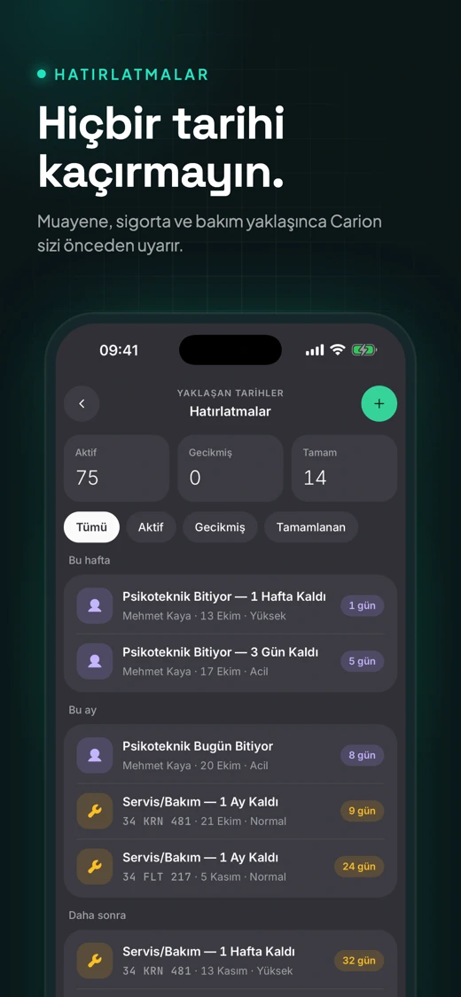 Carion screenshot 3