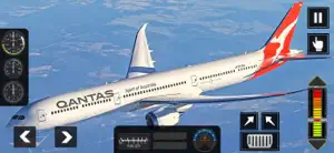 Flight Pro Plane Simulator 3d screenshot 2