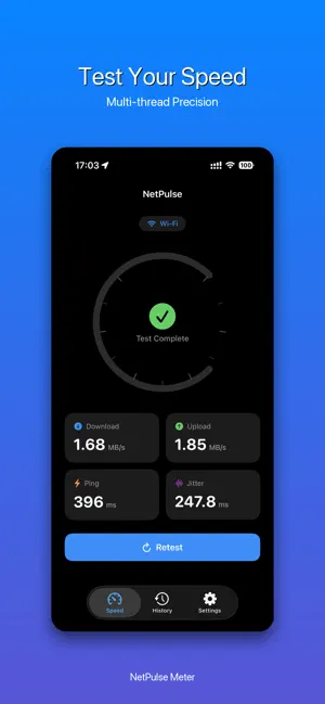 NetPulse Meter screenshot 1