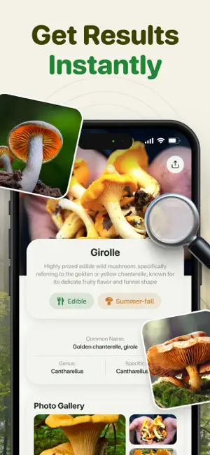Mushroom Identifier. Guidebook screenshot 2