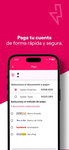 Enel Clientes Chile App Store preview screenshot 3