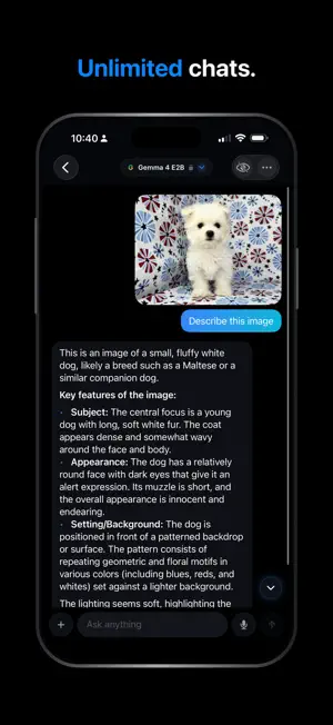 Loci - Private, Local AI screenshot 2