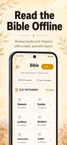 Bible - Offline Audio Bible iPhone screenshot